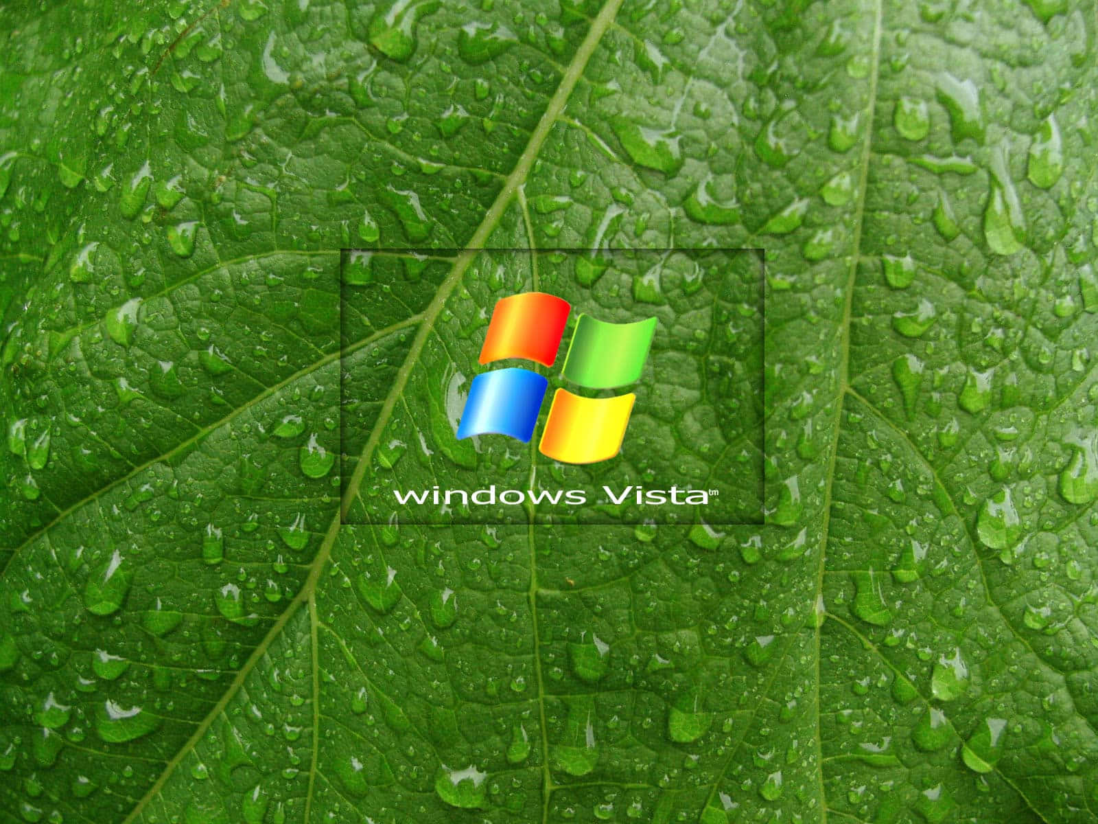Windowsvista 1600 X 1200 Højopløsningslandskab
