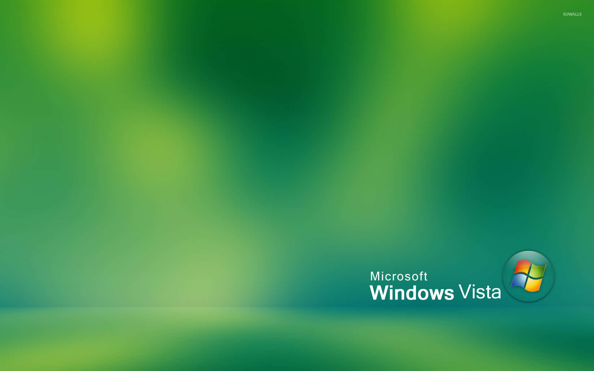 Windows Vista viser malerisk turkise liljer.