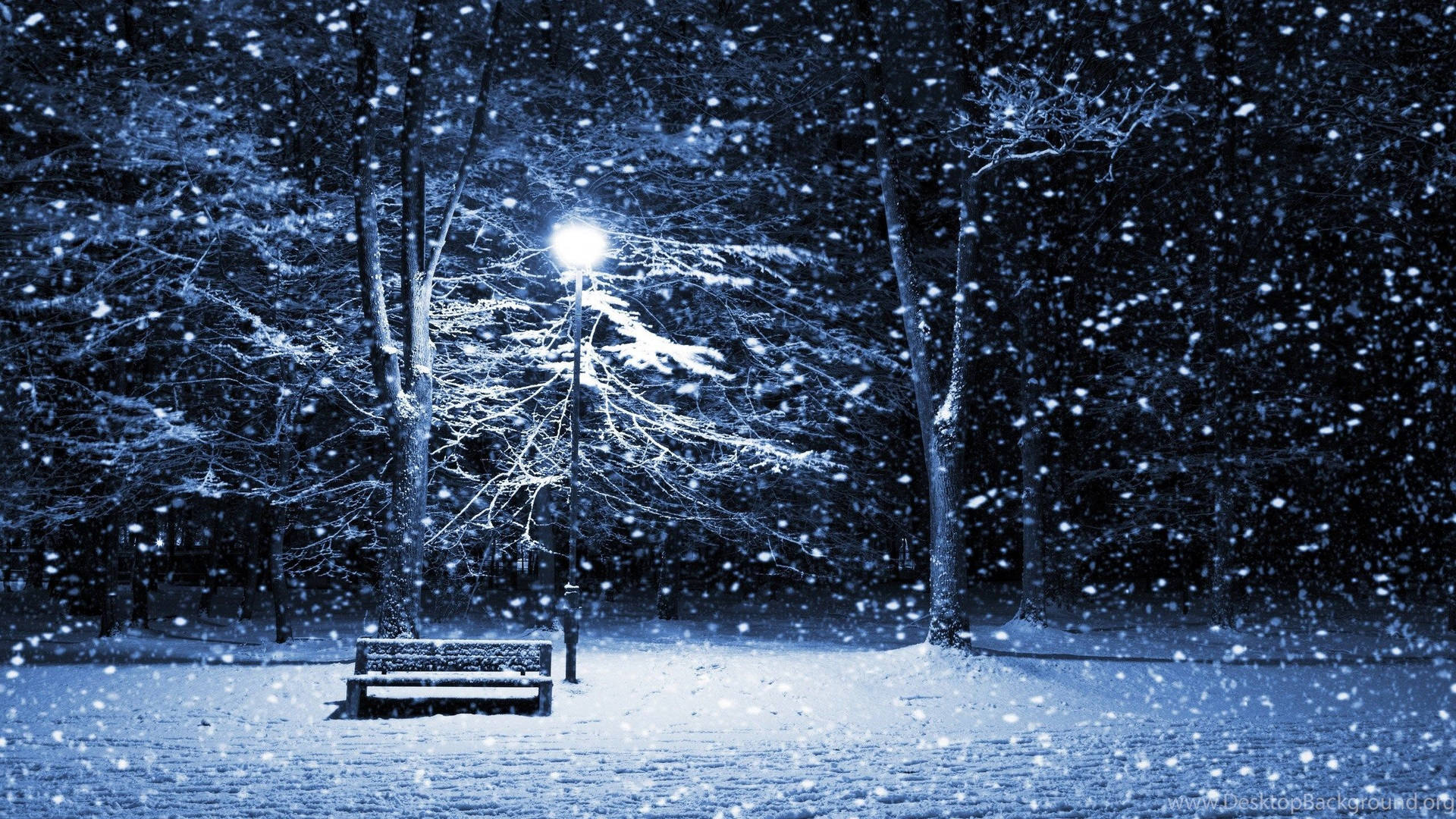 Windows Winter Bench And Lamppost Wallpaper