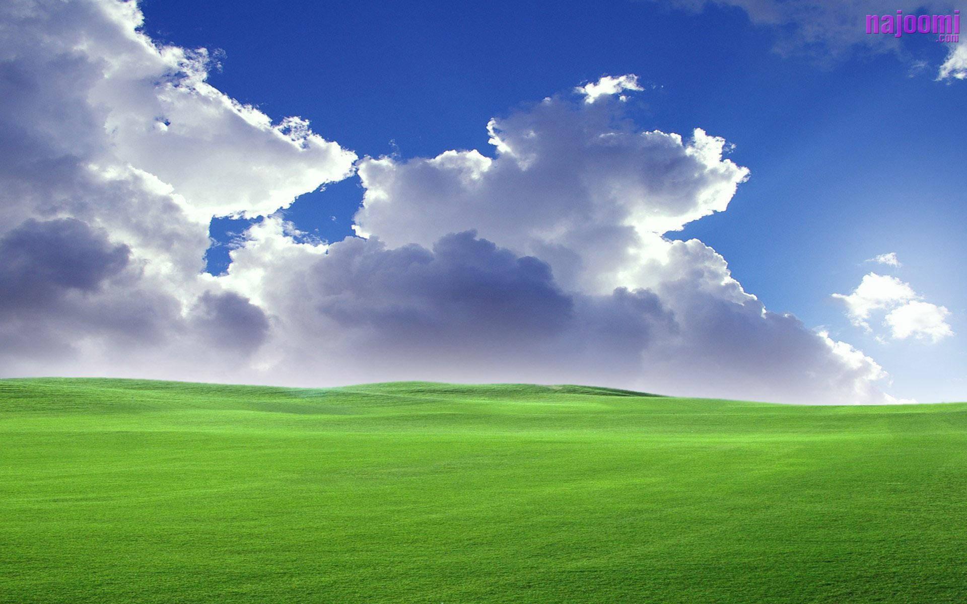 4CYCLISTS version of iconic Windows XP wallpaper