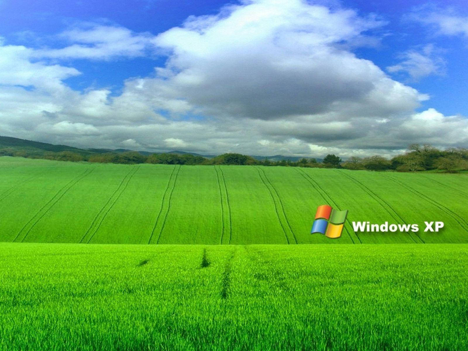 Microsoft Windows XP Desktop Wallpaper