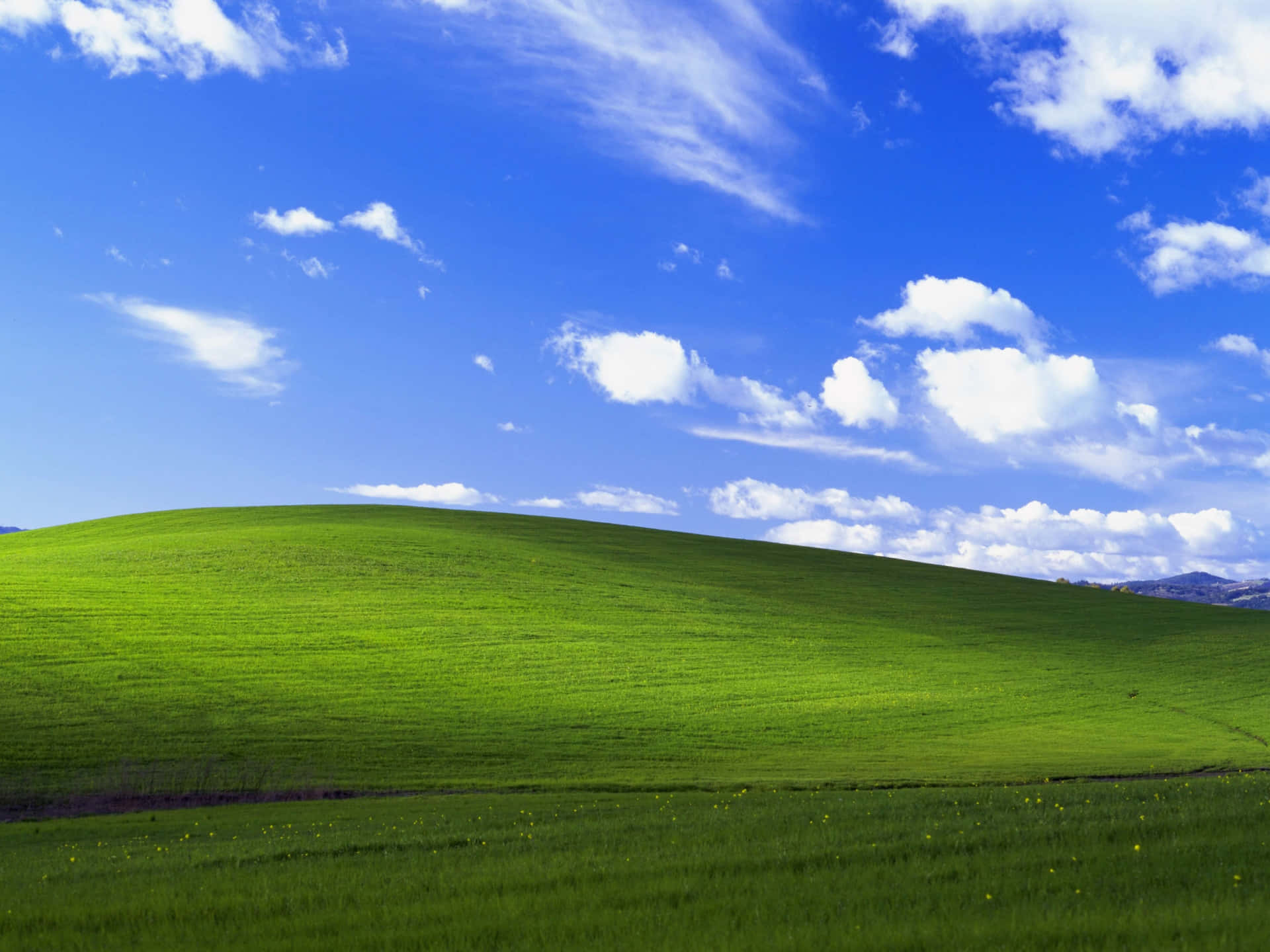 The Iconic Windows XP Logo Wallpaper