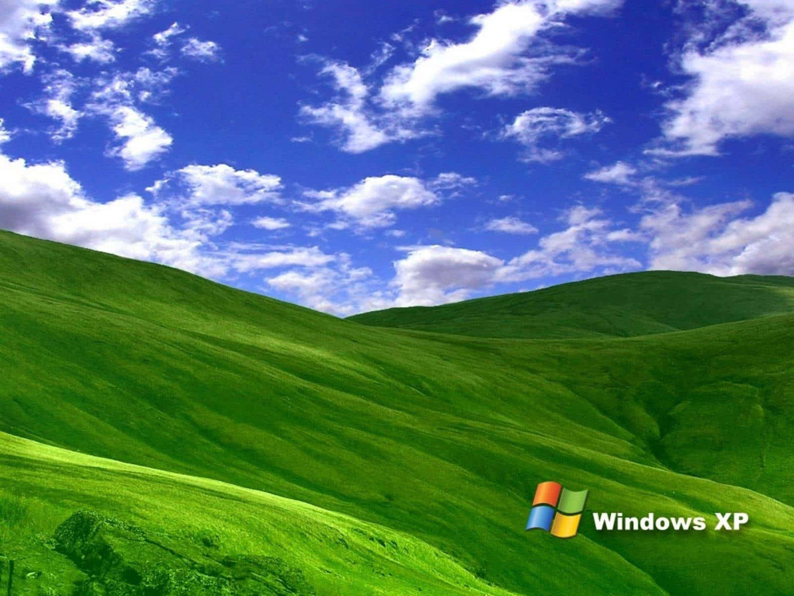 Logotipodo Windows Xp Papel de Parede