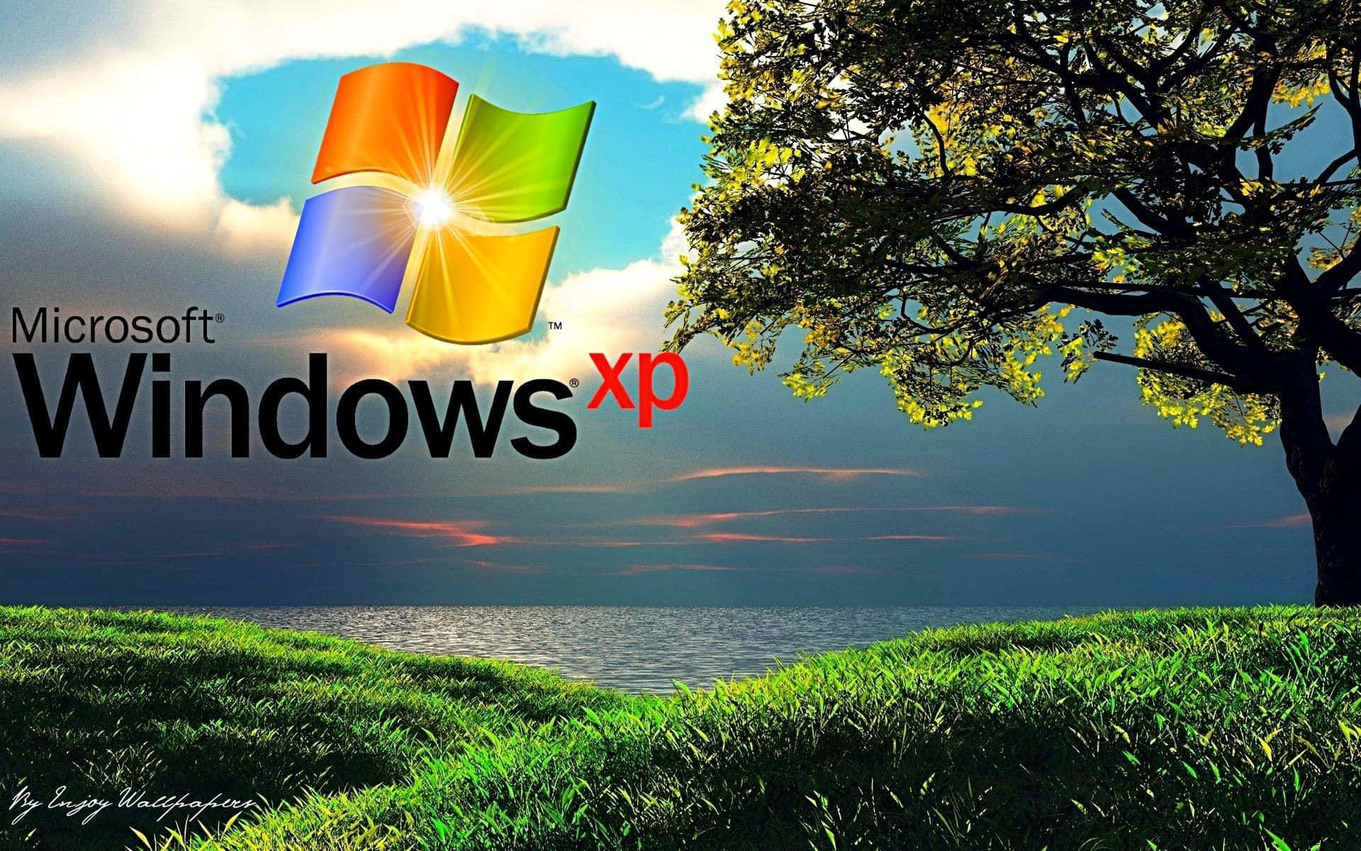Microsoftwindows Xp Logo Mit Einem Baum Im Hintergrund.