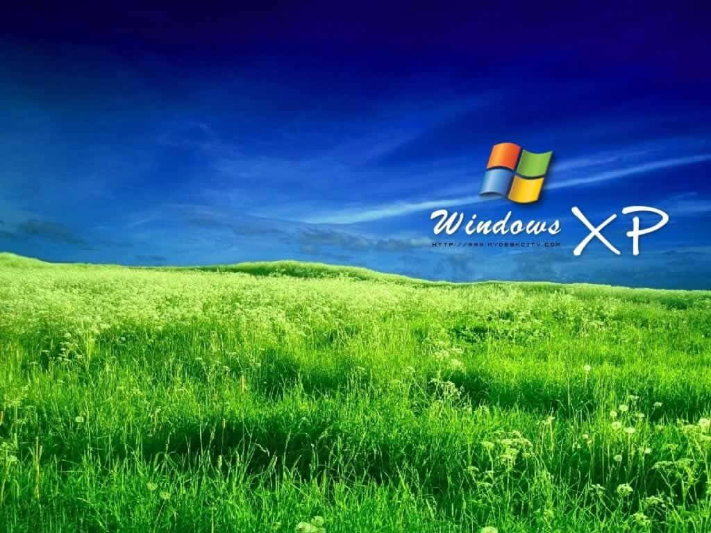 Windowsxp Hintergrundbild