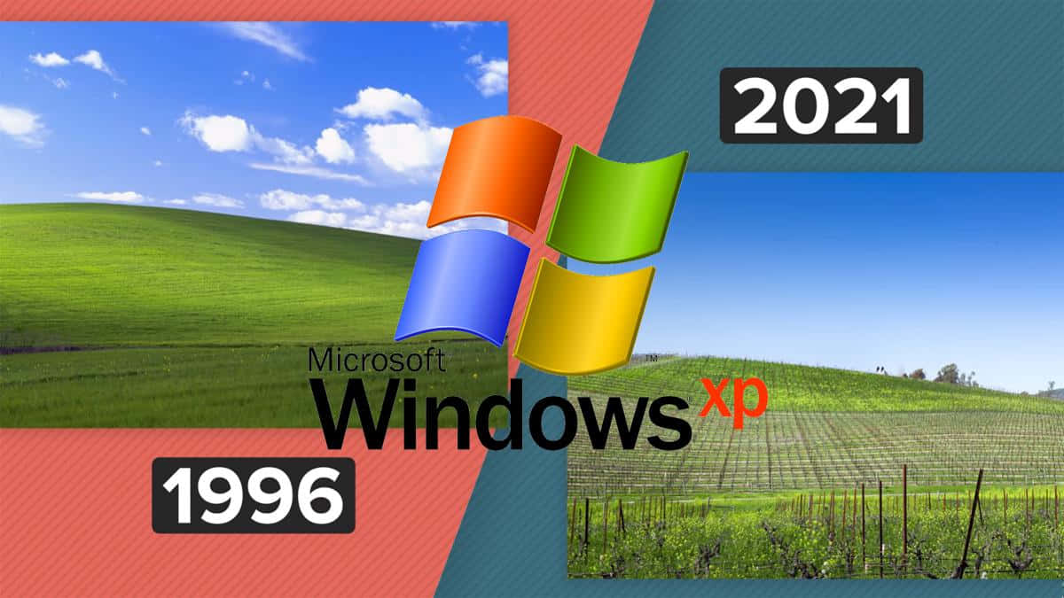 Windows XP - A venerable leader in the operating system realm