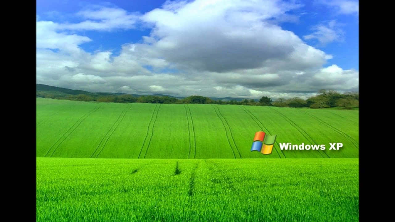 Nyd den ultimative brugeroplevelse med Windows XP