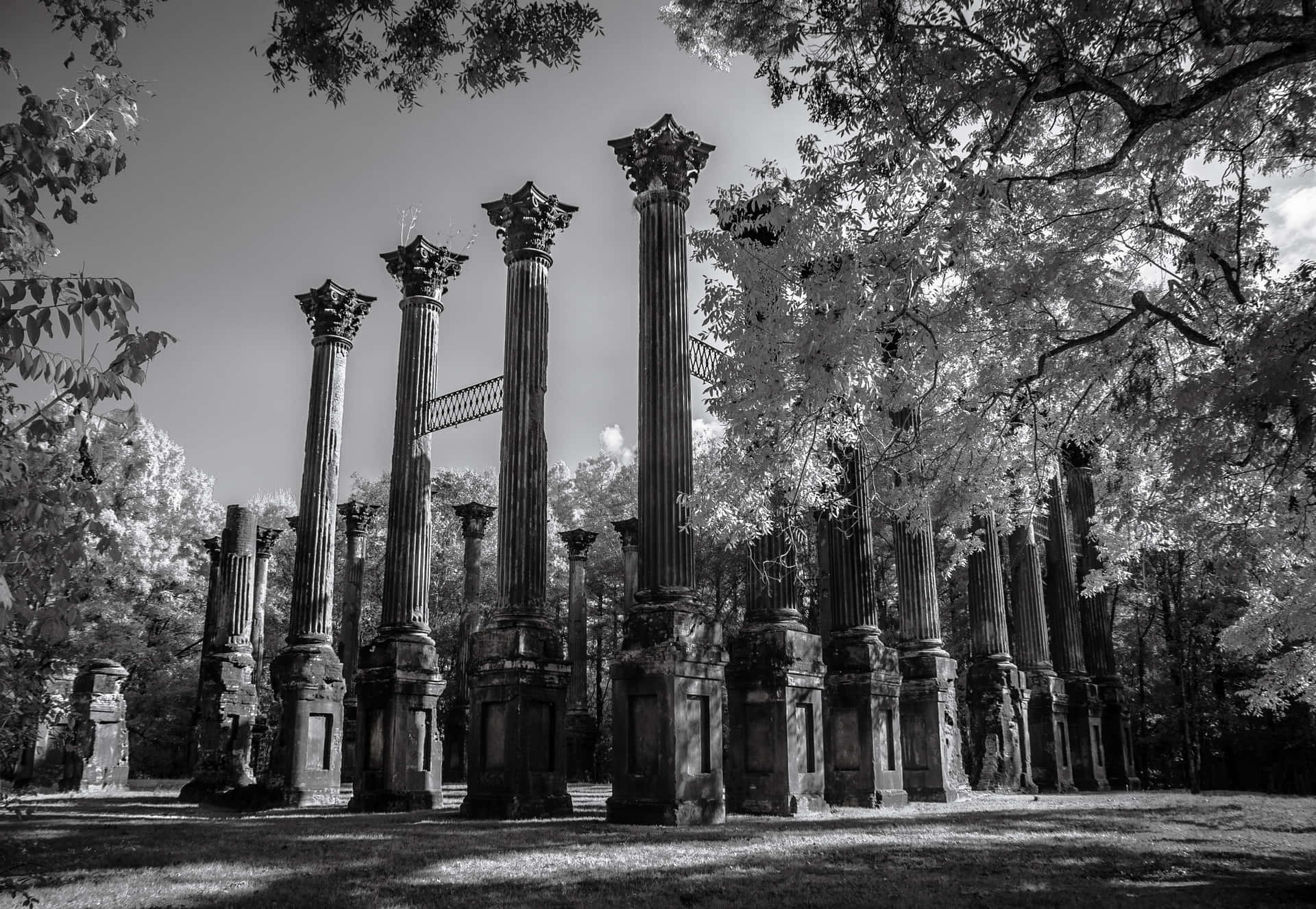 Windsor Ruins Mississippi Monochromatic Photography Wallpaper