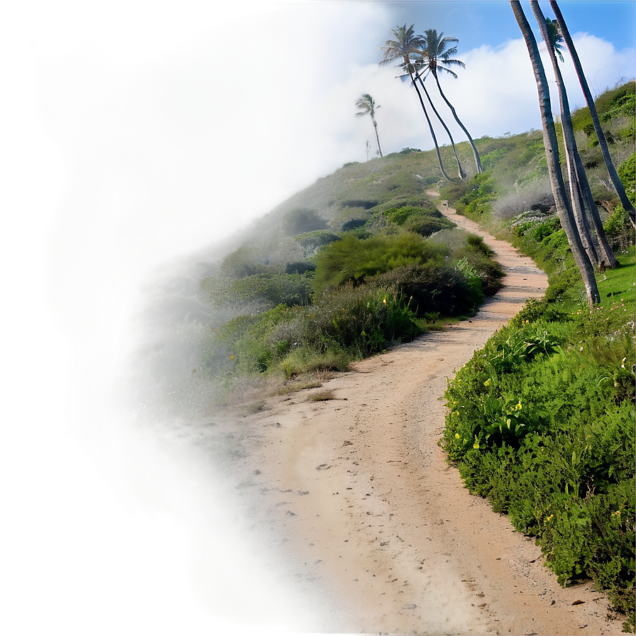 Windy Coastal Trail Png Lxw76 PNG