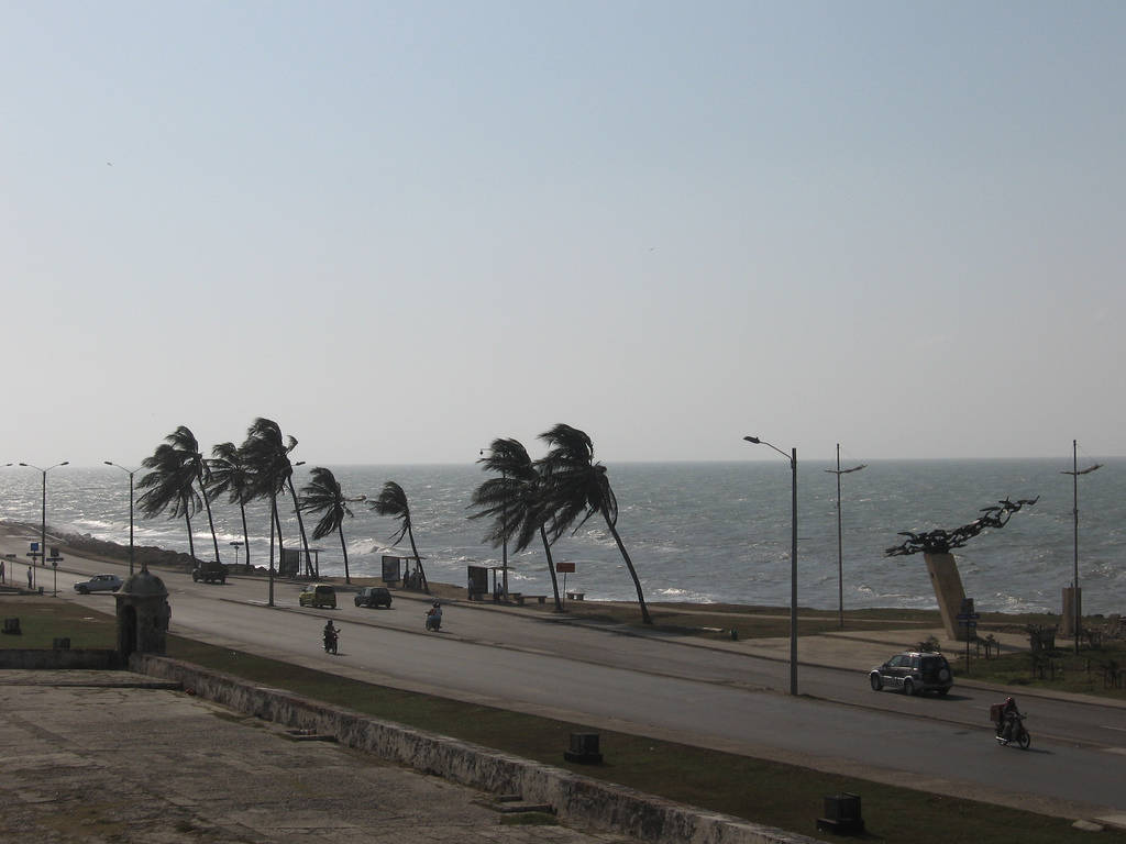 Windy Day In Avenida Santander In Cartagena Picture