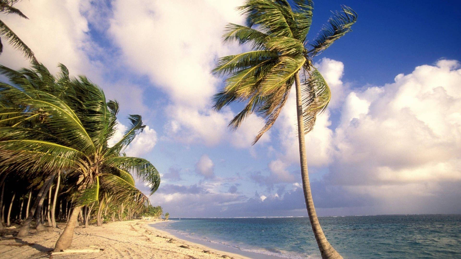 Spiaggiaventosa Nella Repubblica Dominicana Sfondo