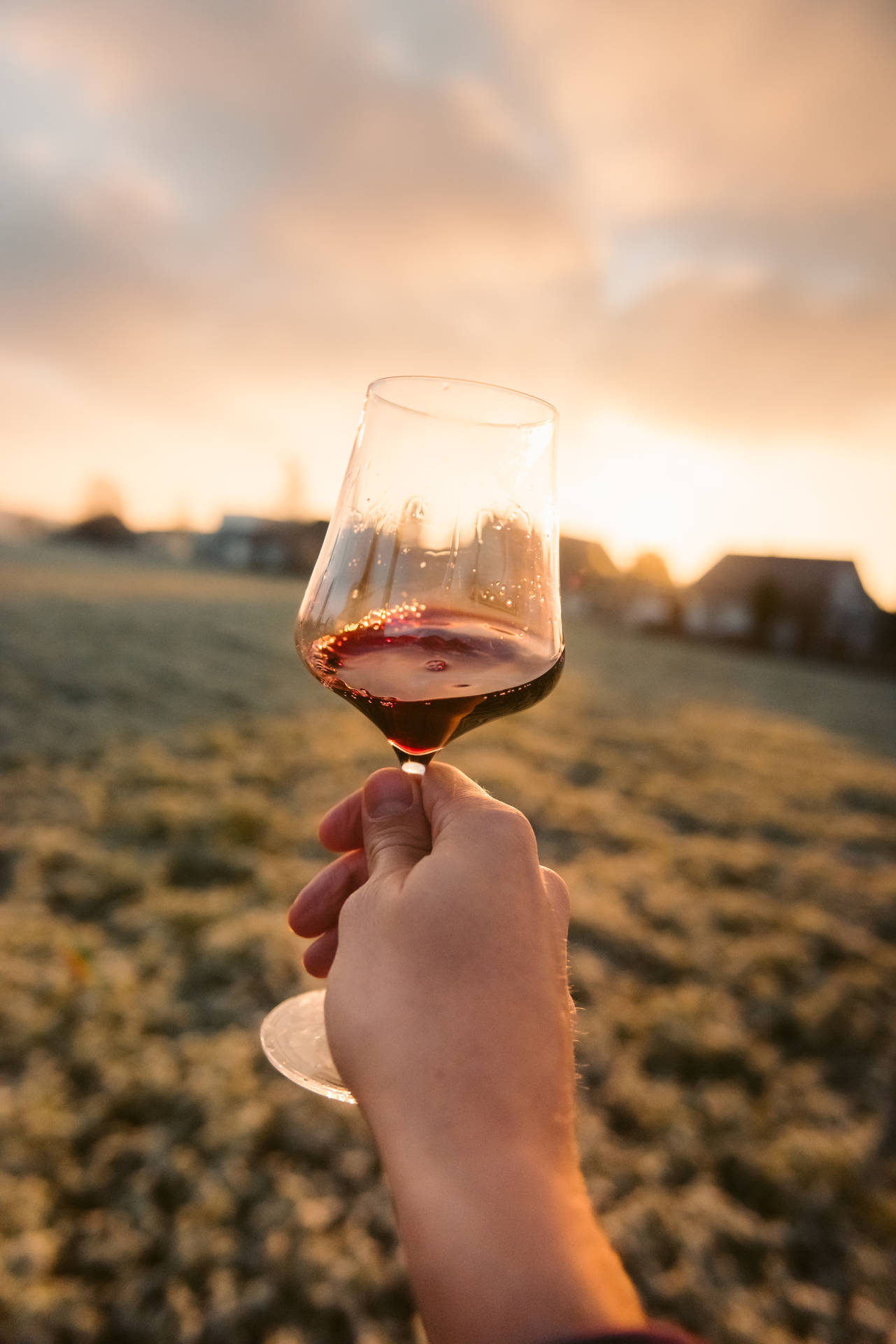 Wine And Sunset Wallpaper