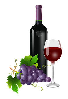 Wine Bottle Glass Grapes Vector PNG