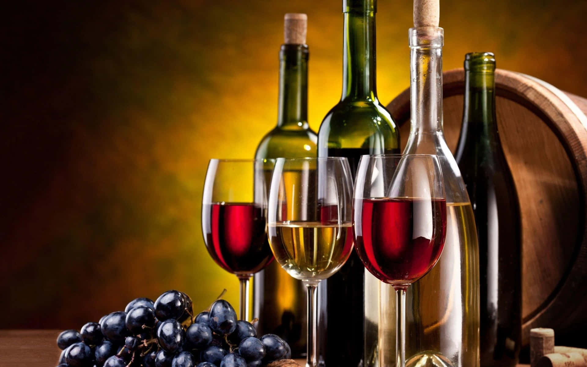 Wine Selebrtion - Enjoy in Moderation