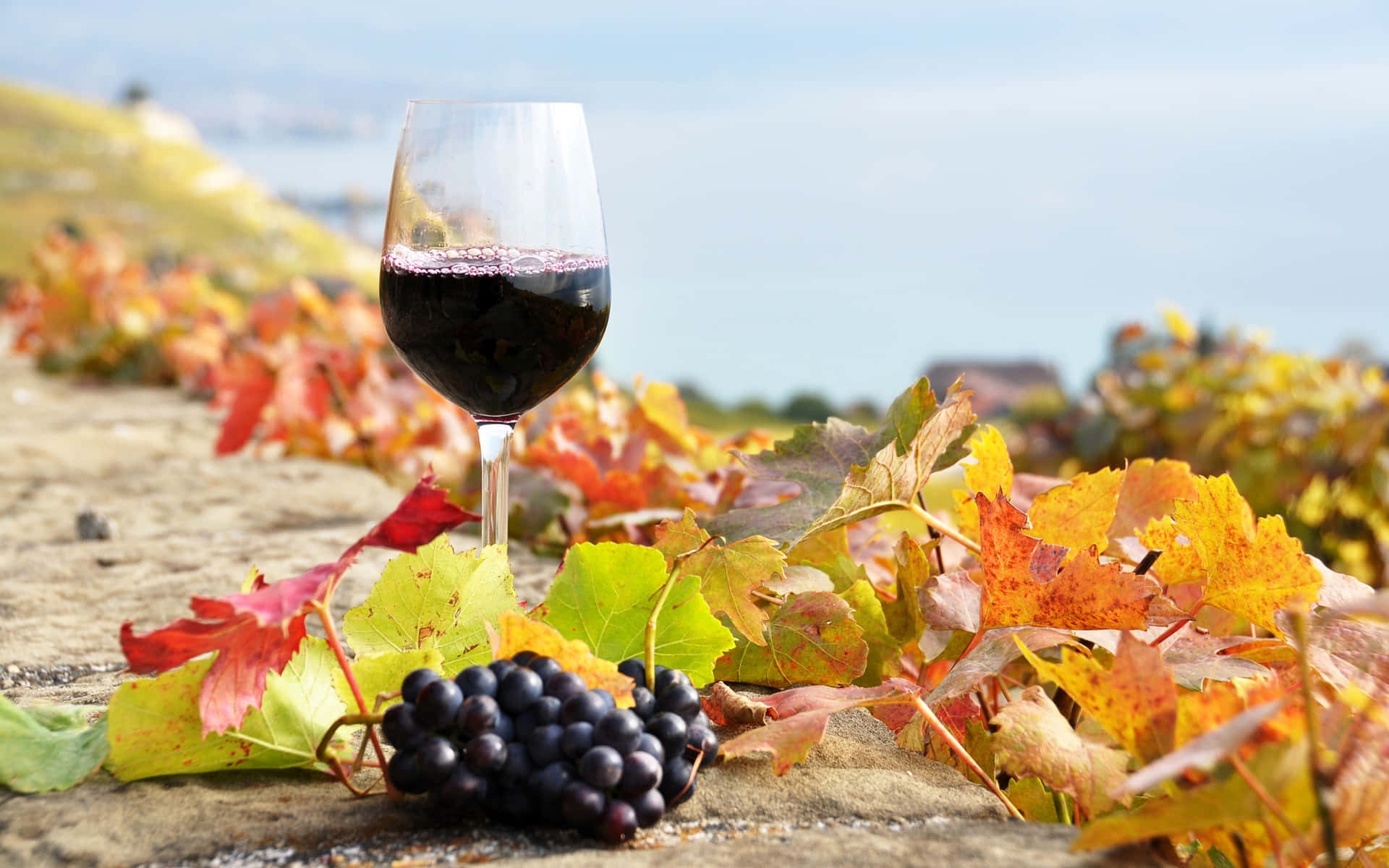 A Glass Of Red Wine With Grapes And Leaves