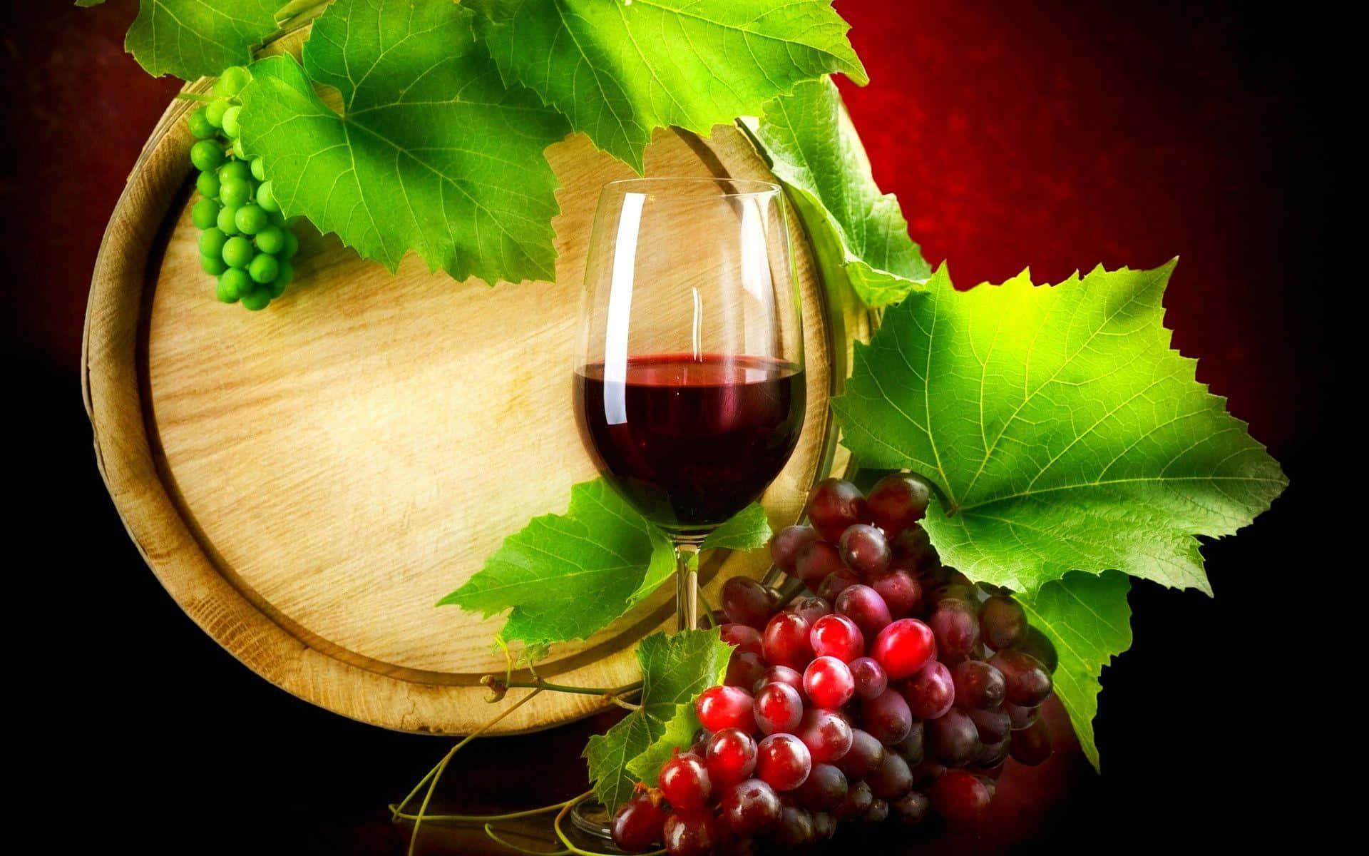 Entdeckeden Feinsten Wein Aus Verschiedenen Regionen.
