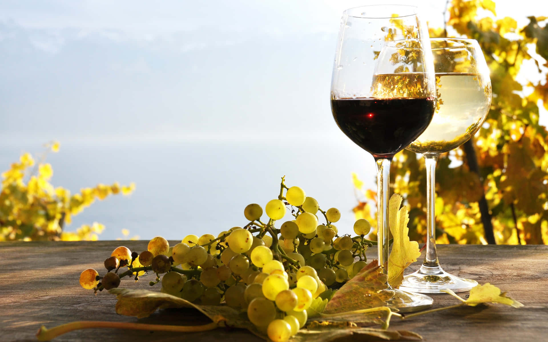 Enjoy a glass of quality wine.