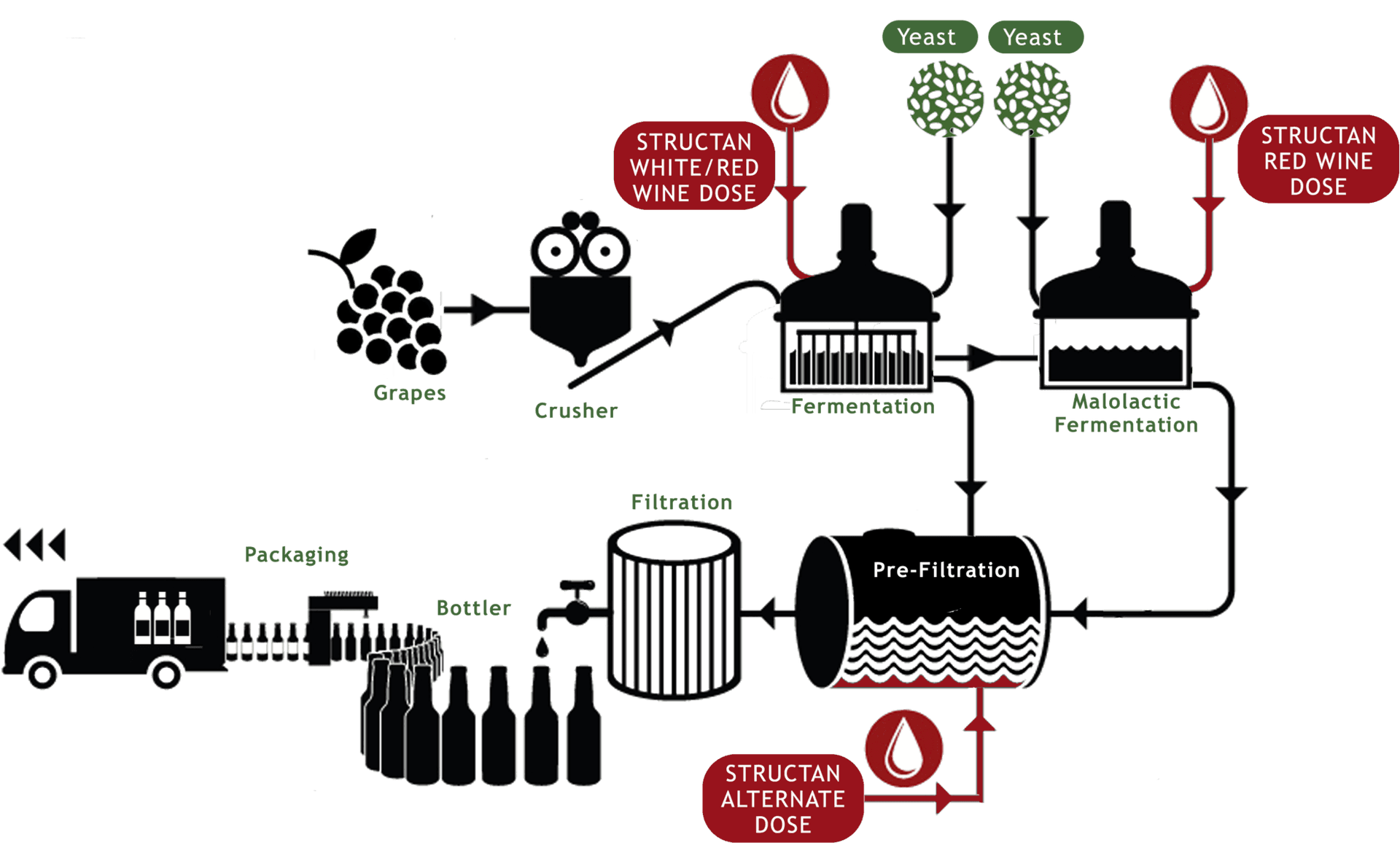 Wine Production Process Flowchart PNG