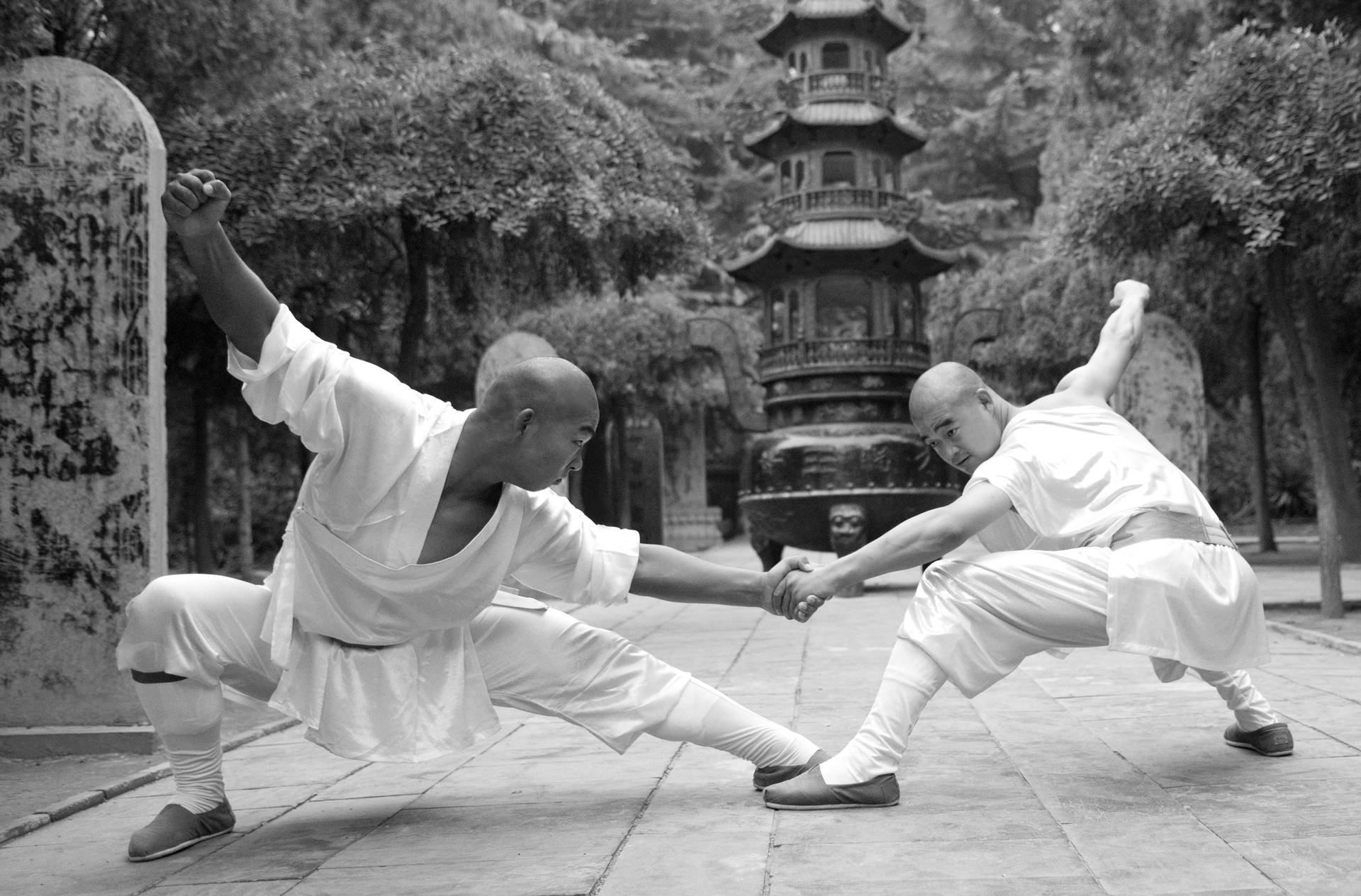 Caption: An Exemplary Display of Wing Chun at the Historic Shaolin Temple Wallpaper