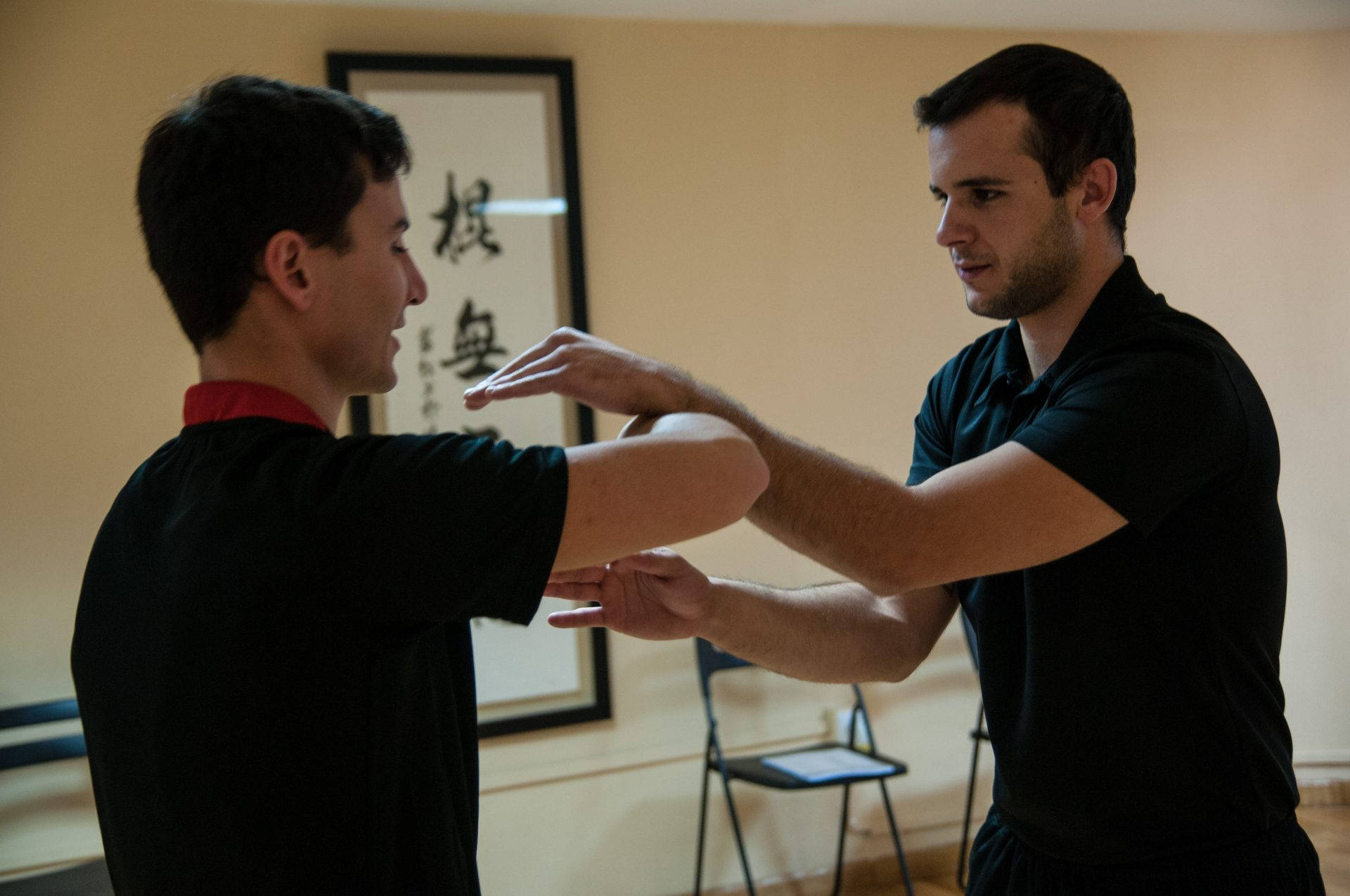 Entrenamientoen El Arte De Combate Wing Chun Fondo de pantalla