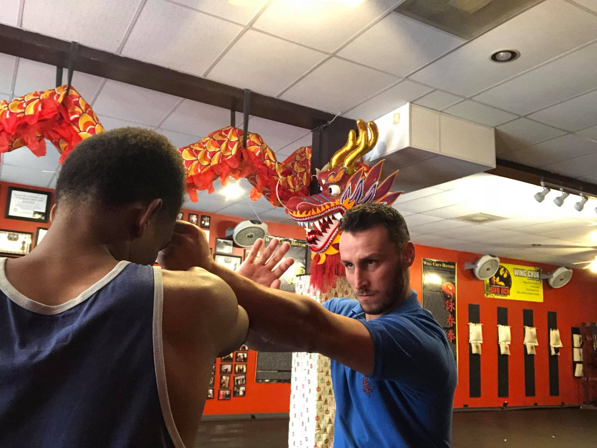 Entrenamientoen El Arte Marcial De Combate Wing Chun Fondo de pantalla