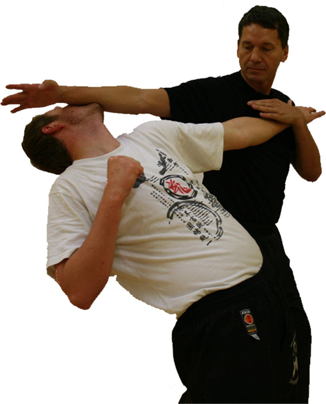 Artesmarciales De Combate Wing Chun Fondo de pantalla