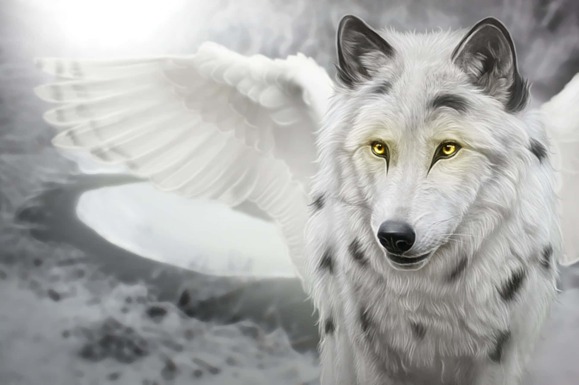 Winged Wolf 2160 X 1438 Wallpaper