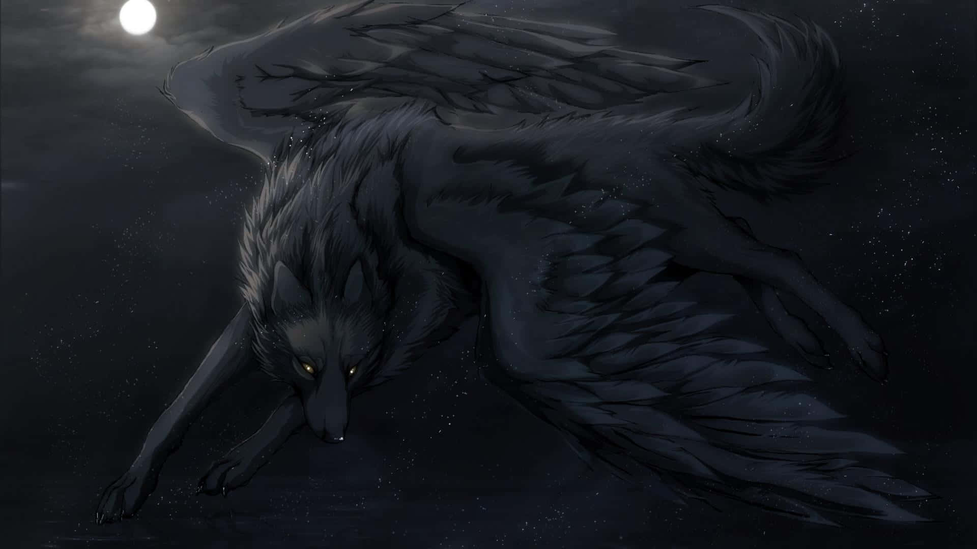 Winged Wolf Black Night Sky Wallpaper