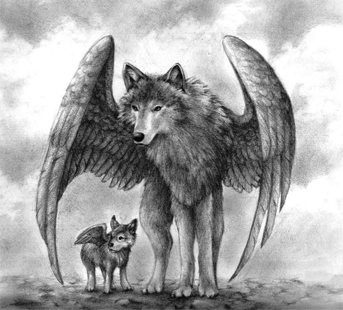 En sort og hvid tegning af en ulv og en ræv Wallpaper