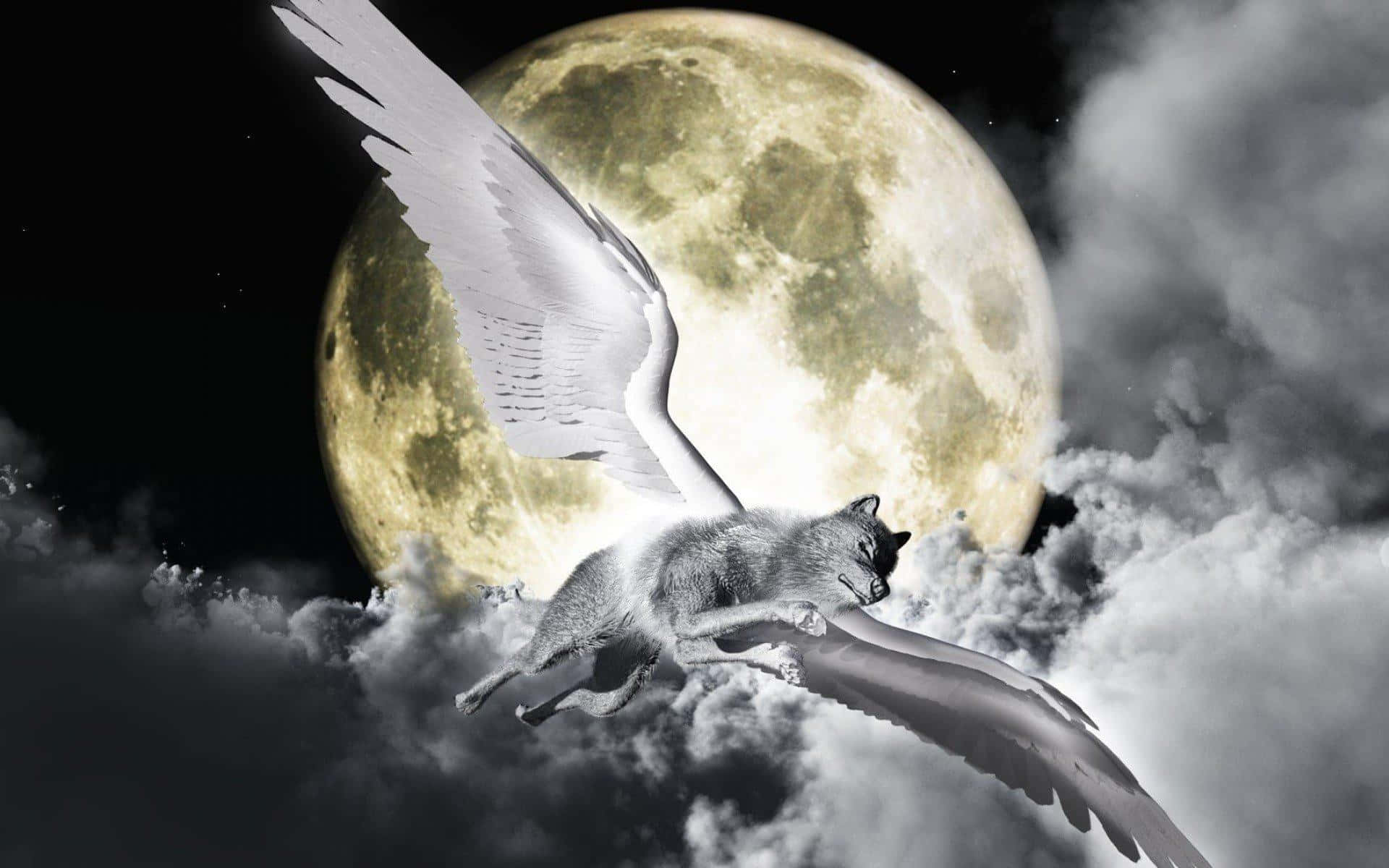En hvid ulv flyver i himlen med et fuldmåne baggrund Wallpaper