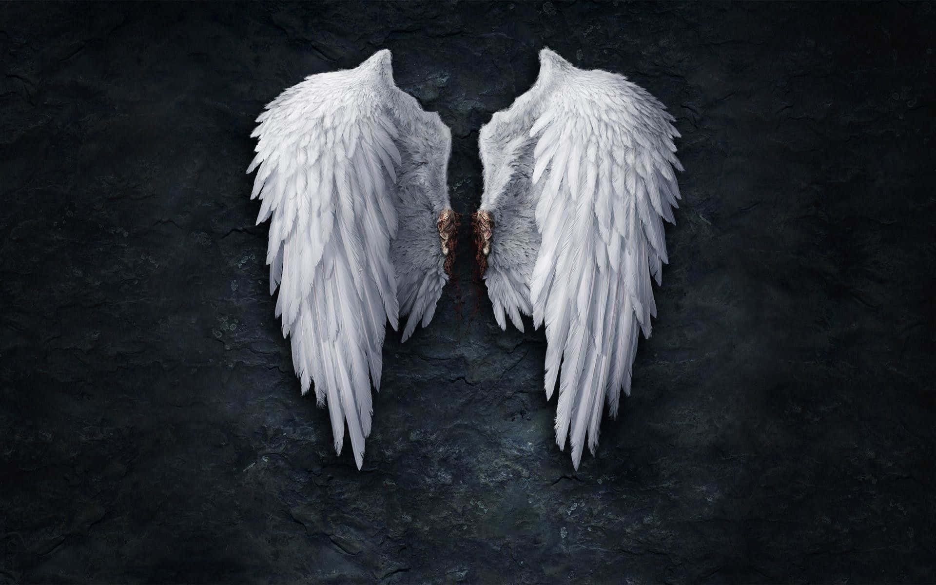 Wings Background