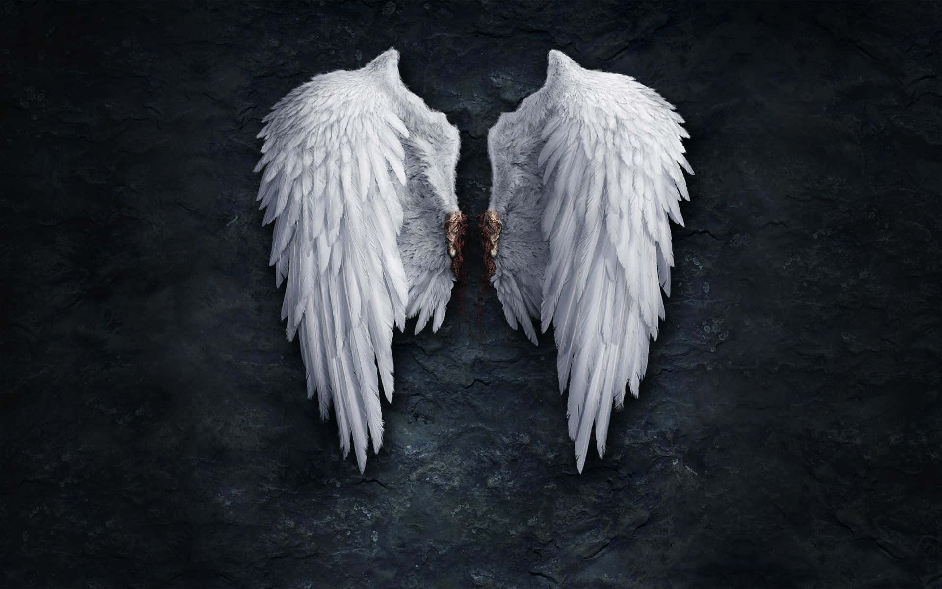 Angel wings steam фото 7
