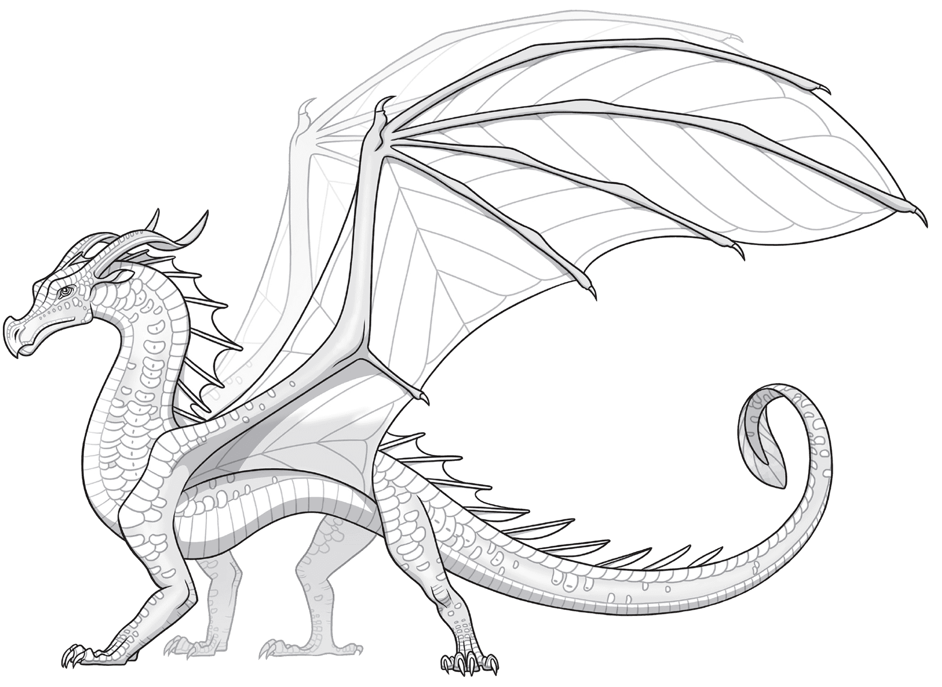 Wings_of_ Fire_ Dragon_ Illustration PNG