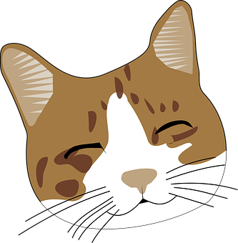 Winking Brown Cat Cartoon PNG