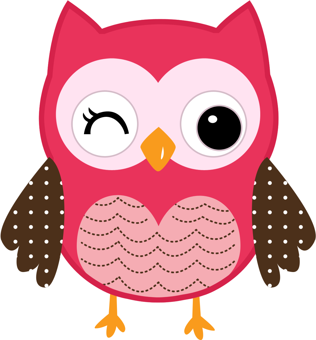 Winking Cartoon Owl Illustration PNG