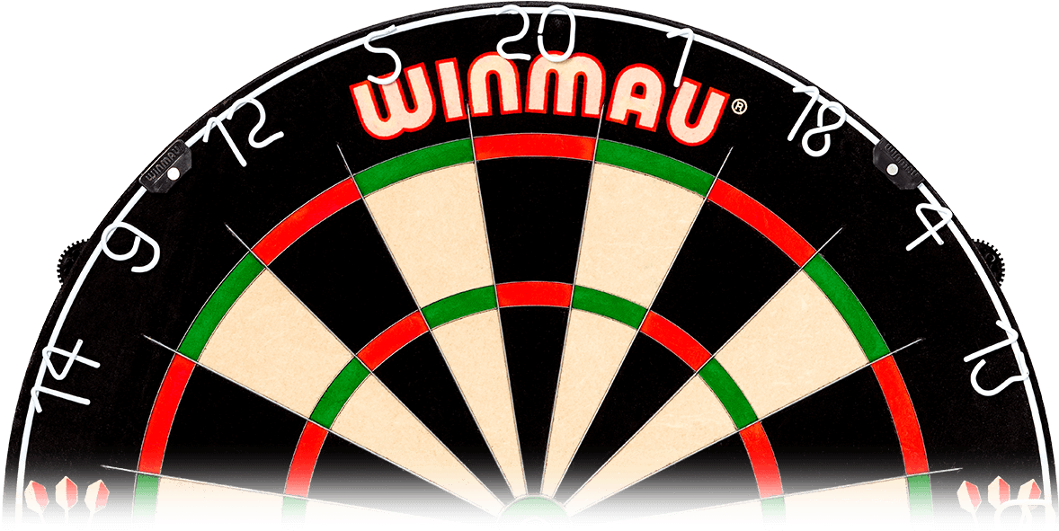 Winmau Dartboard Professional Setup PNG