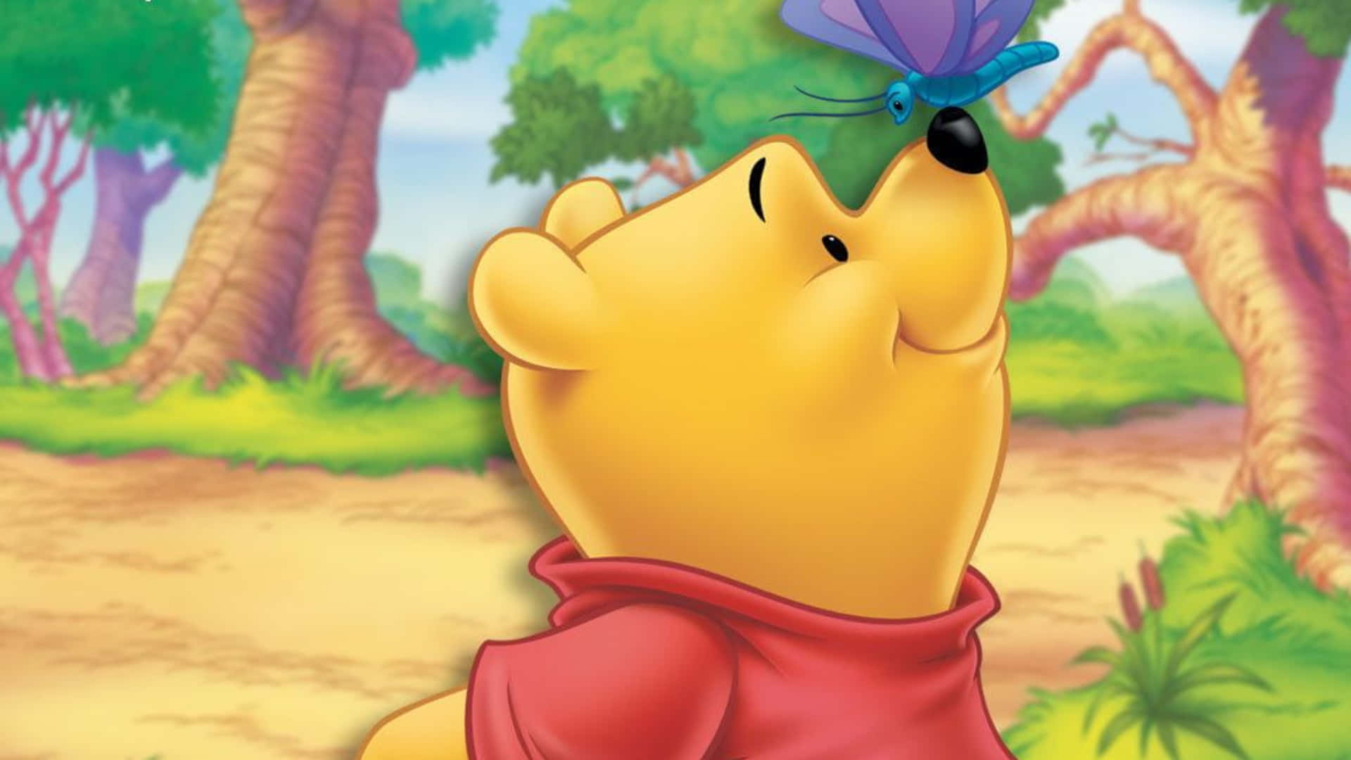 Celebrate the beloved Disney character Winnie The Pooh with this playful laptop wallpaper! Wallpaper