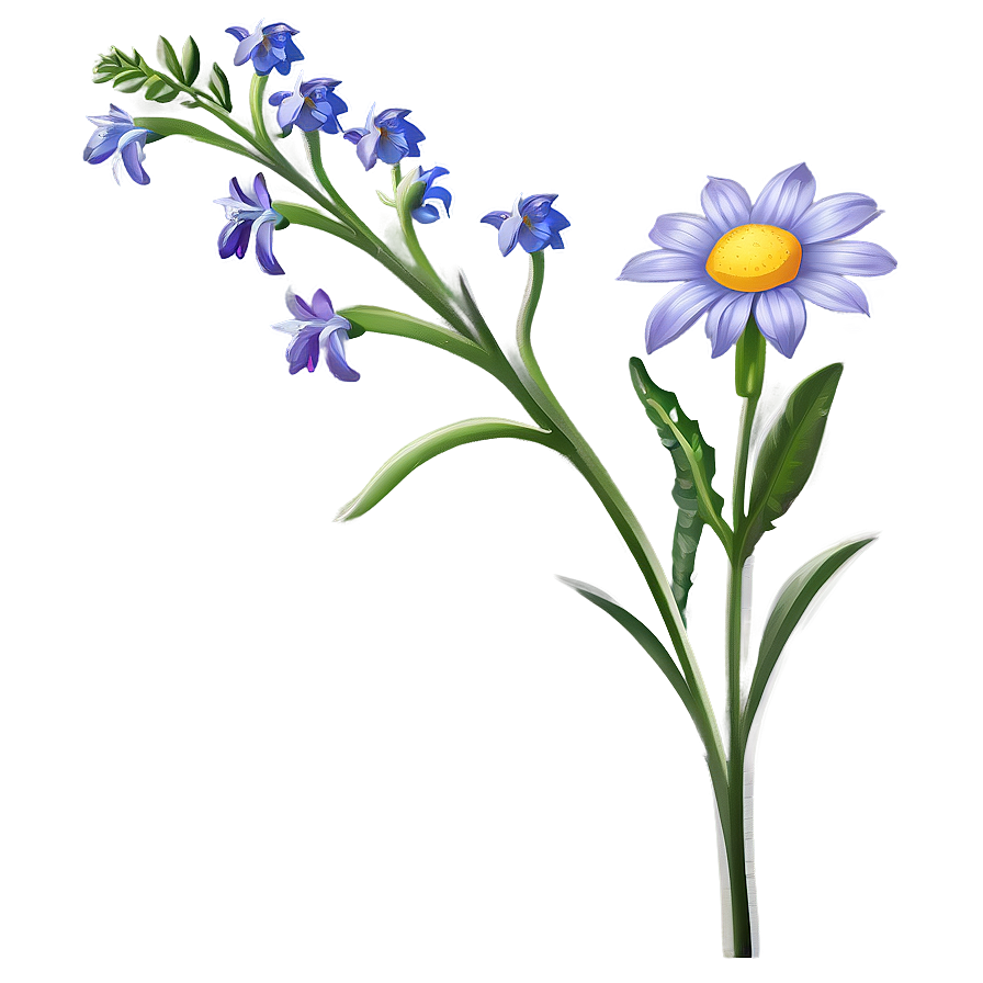 Winsome Wildflower Png Stt96 PNG