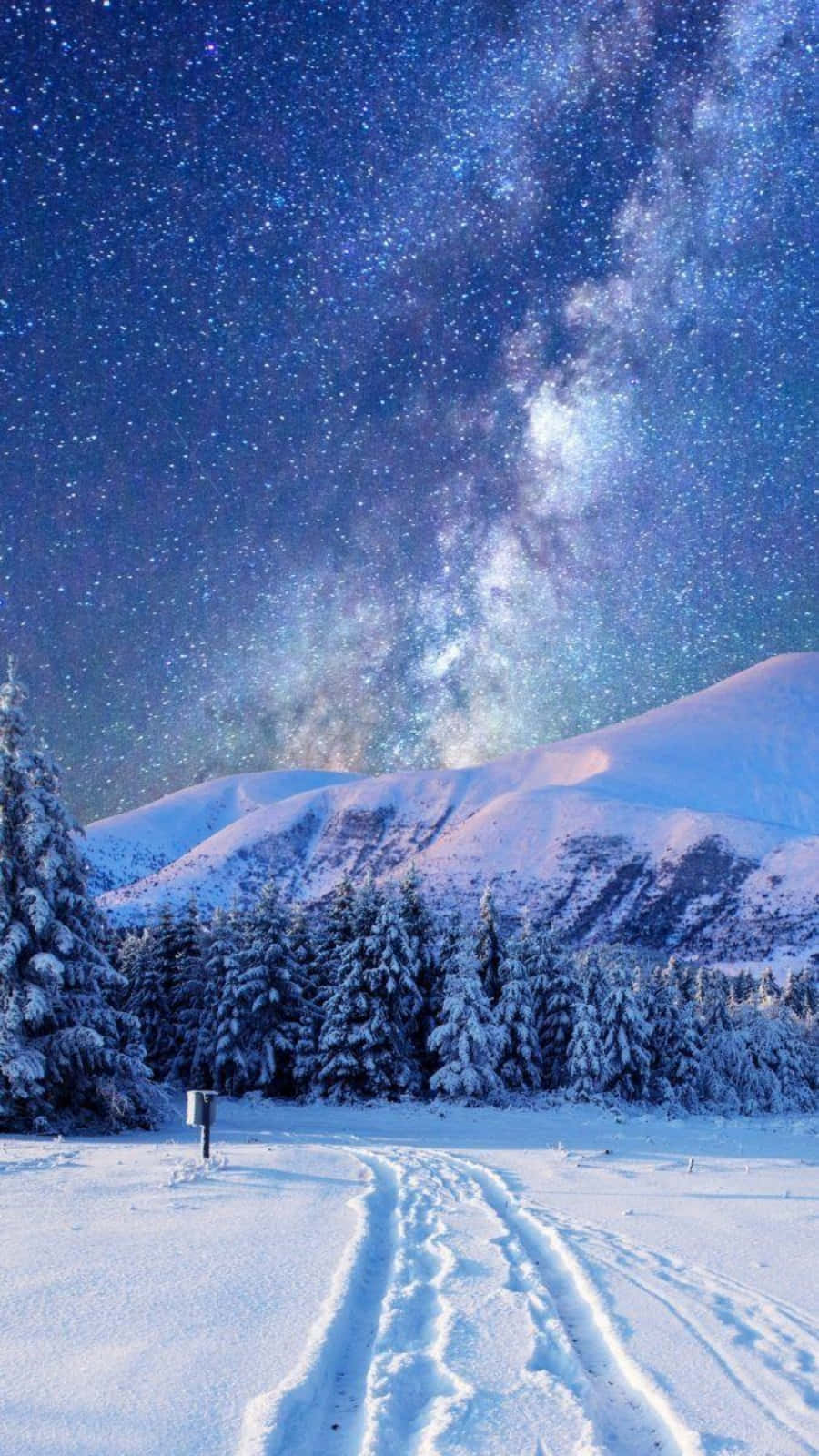 Winter Aesthetic Phone Forest Under Starry Sky Background