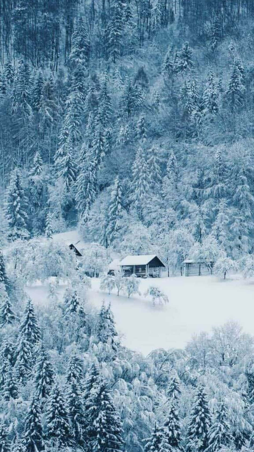A Snow Covered Forest With A House In The Middle Wallpaper