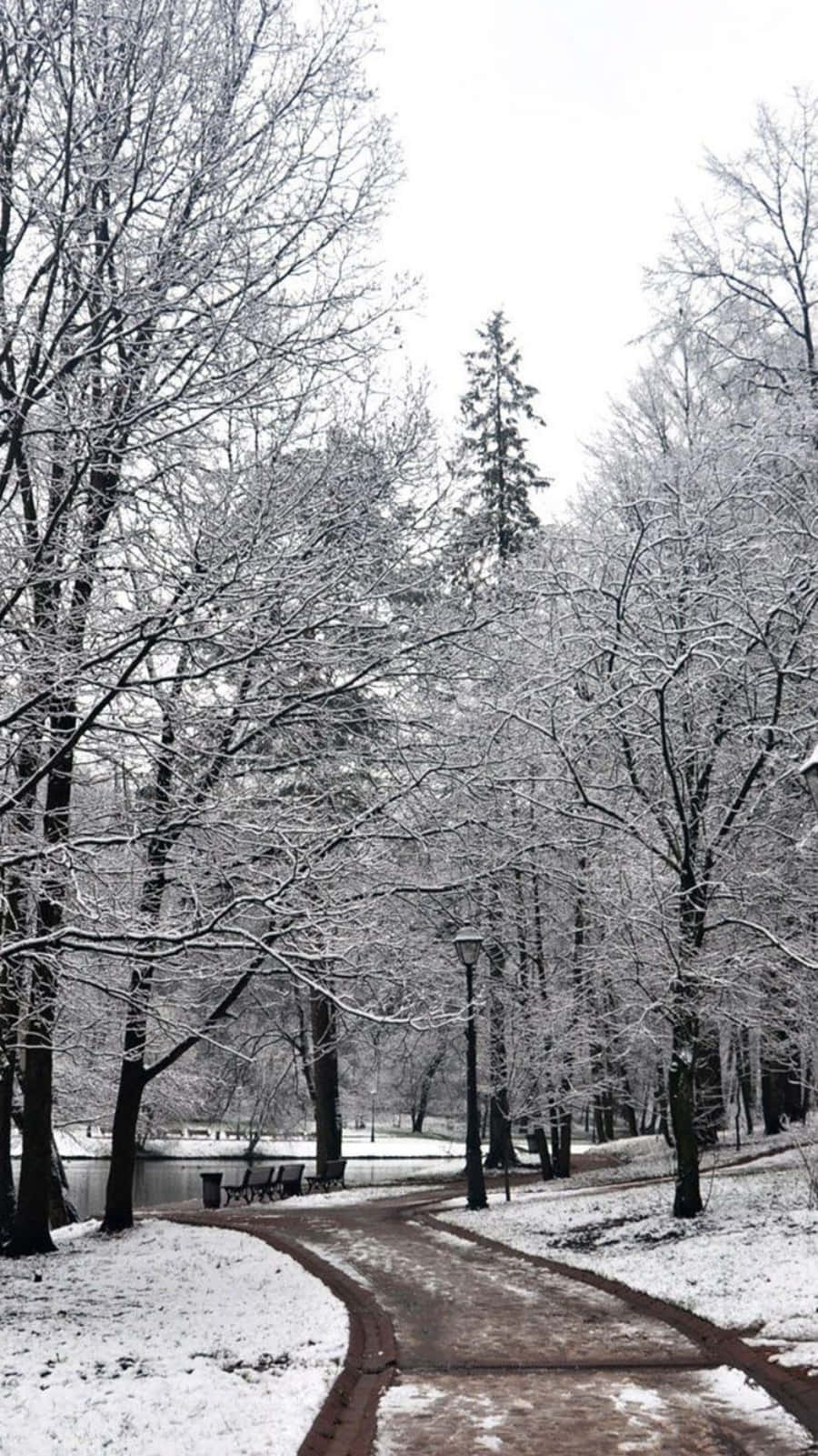 Einewunderschöne Winterlandschaft Mit Einem Handy Im Vordergrund. Wallpaper