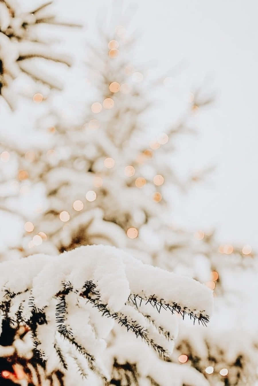 Vinterestetisk Mobiltelefon Snöiga Träd Löv. Wallpaper