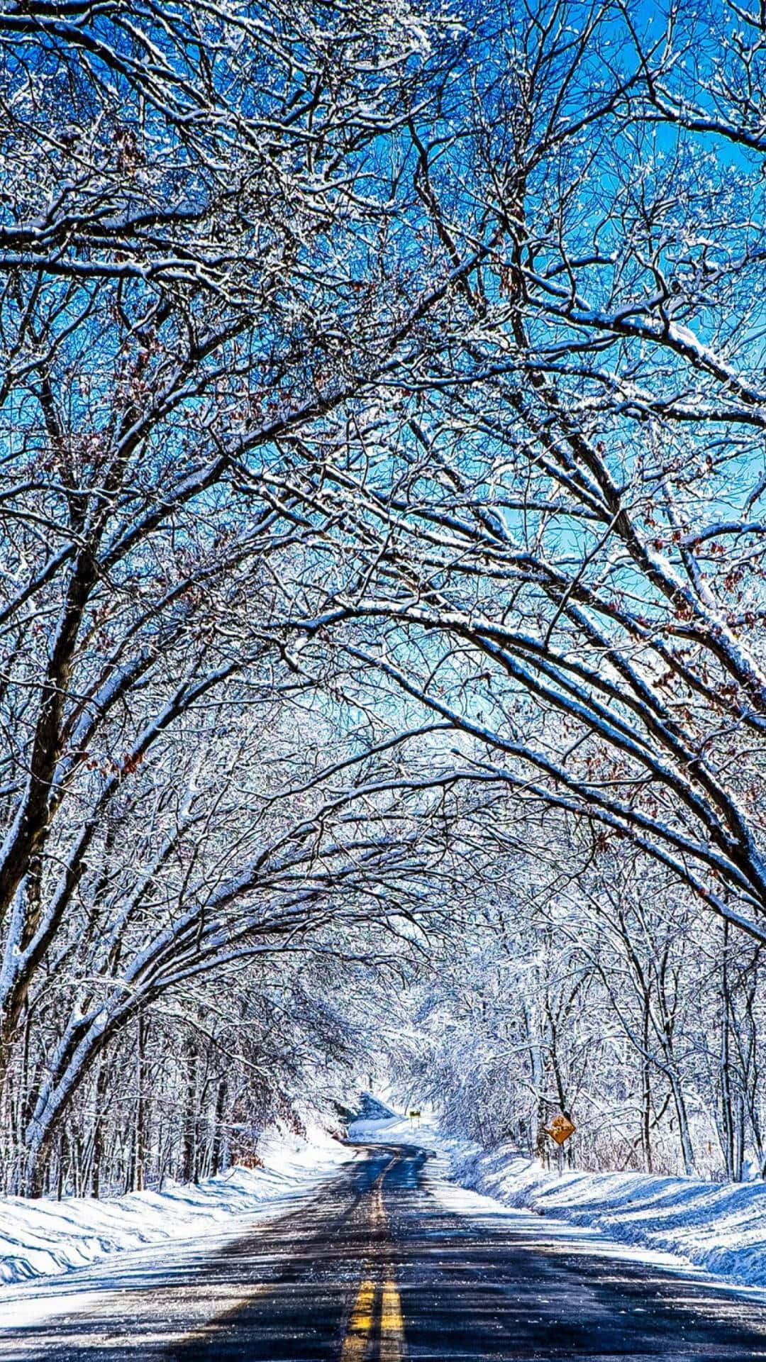 Enjoy the wintertime cold with the aesthetic winter phone Wallpaper
