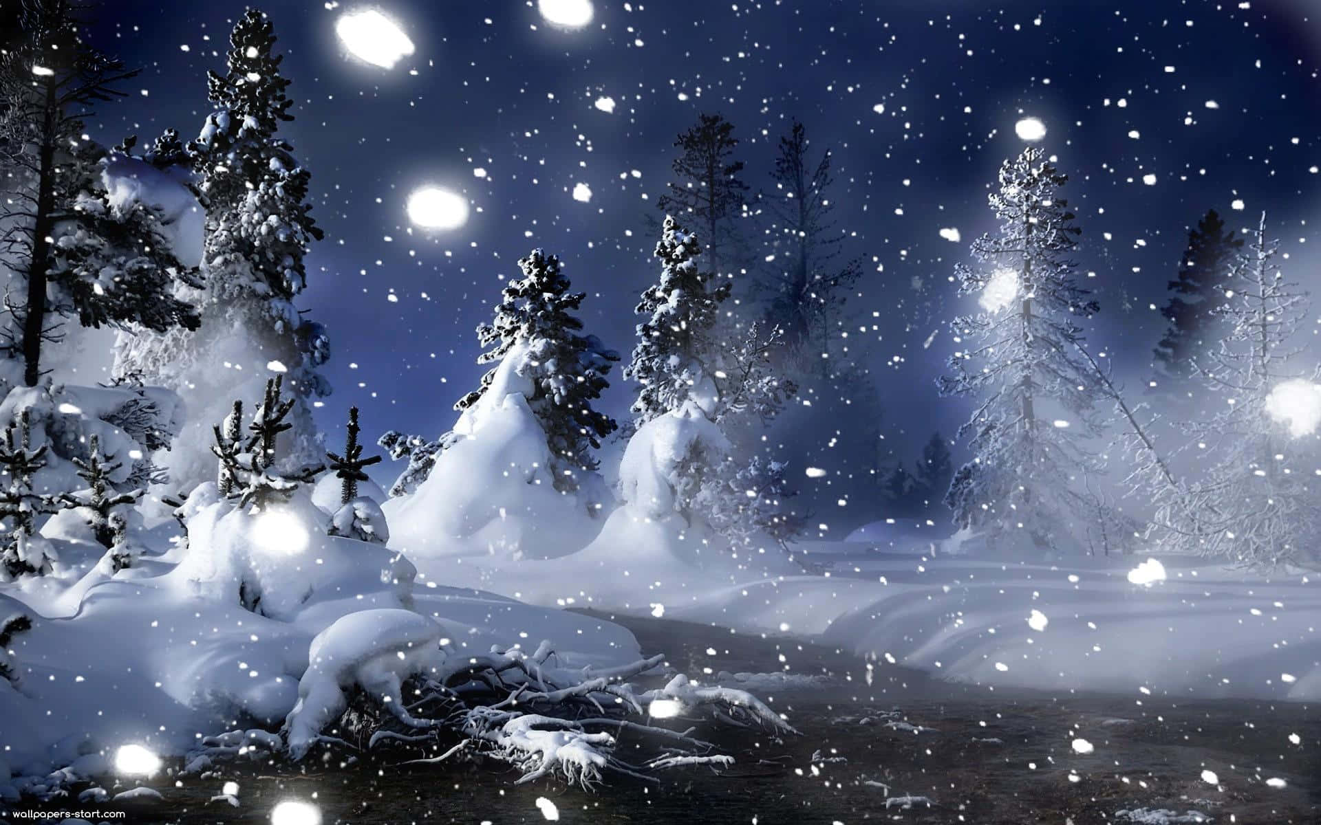 A Magical Winter Wonderland Wallpaper