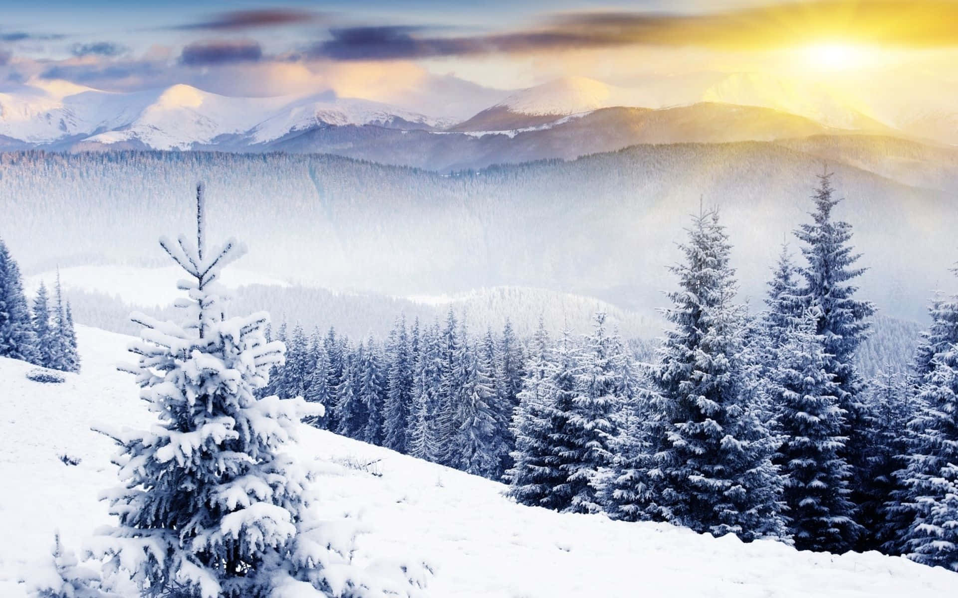 Winter Wonderland: Striking Winter Art Scene Wallpaper