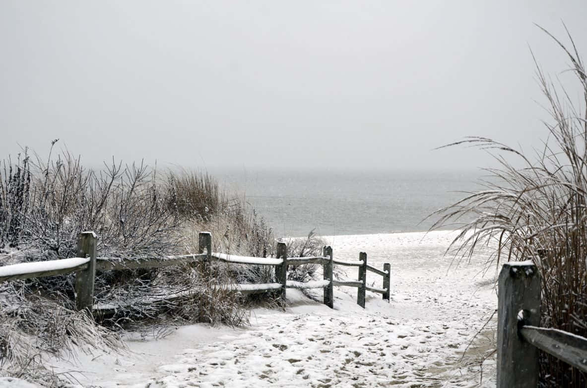 A serene, snowy beach landscape during winter. Wallpaper