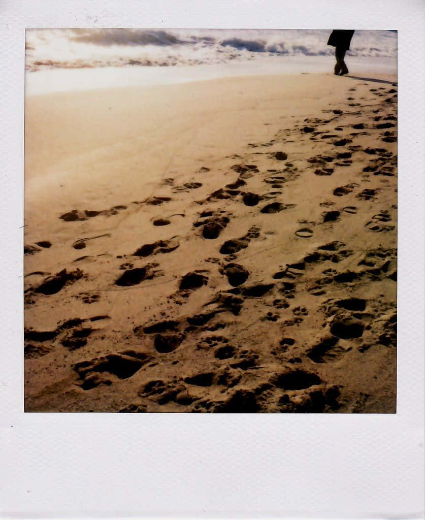 Unpaisaje Sereno De Playa En Invierno Fondo de pantalla