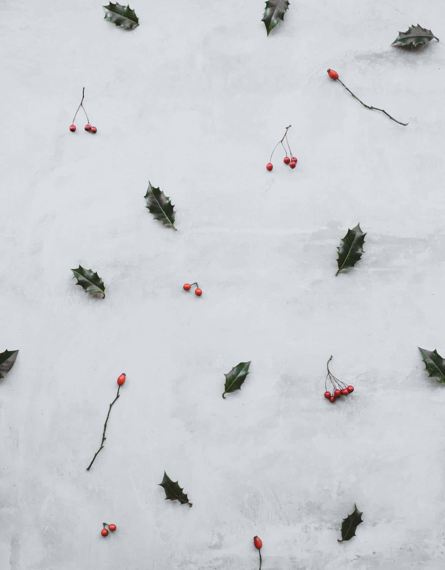 Winter Berriesand Leavesin Snow Wallpaper
