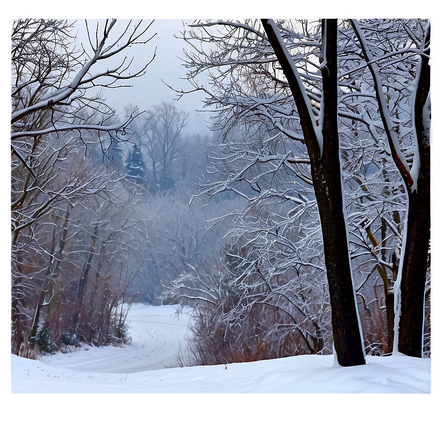 Winter Blizzard Scene Png 06242024 PNG