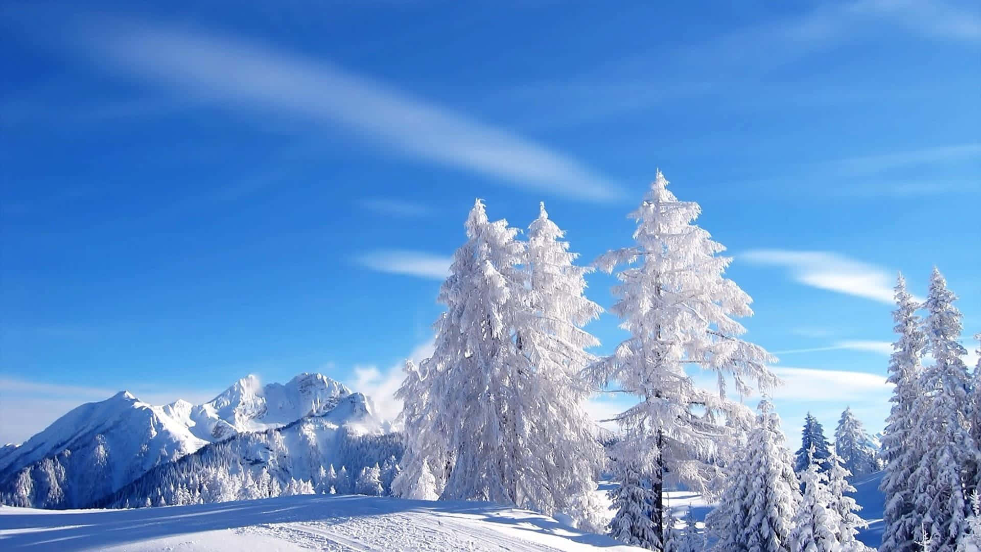 Embracing the Winter Blues at a Serene Snowy Landscape Wallpaper
